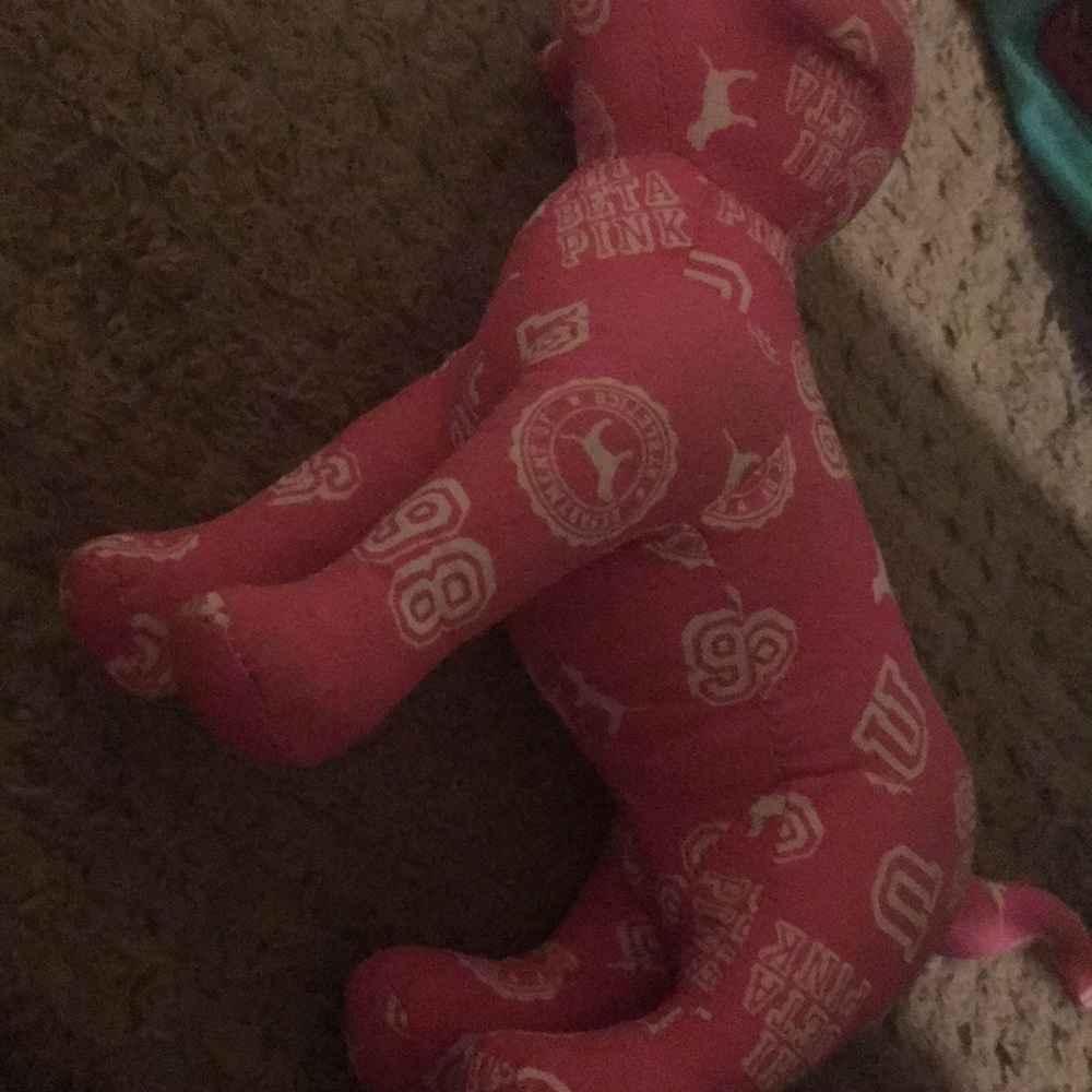 Pink Vs Dog